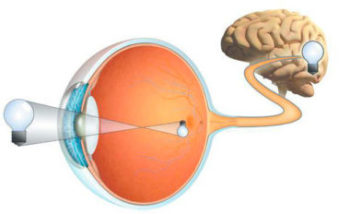 Лечение частичной атрофии зрительного нерва